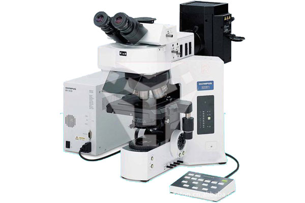 BX61全自动/半自动正置显微镜